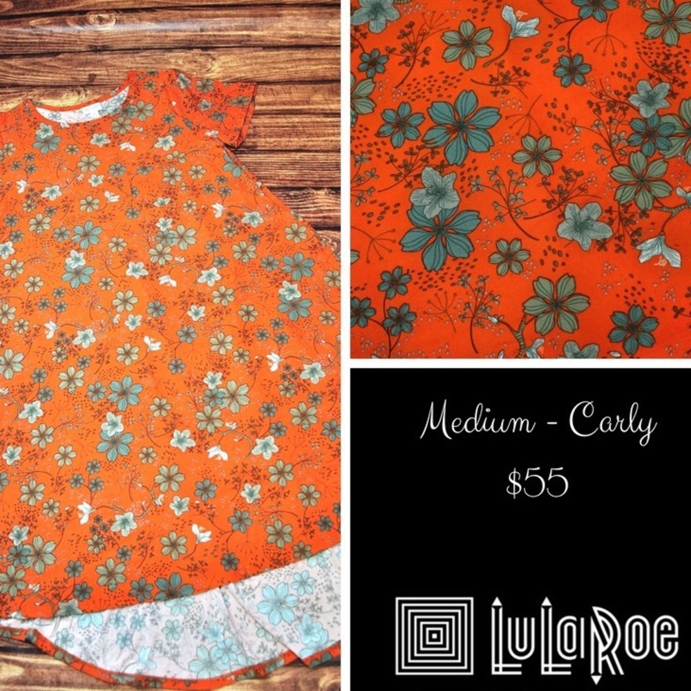LuLaRoe Carly Swing Dress - Medium